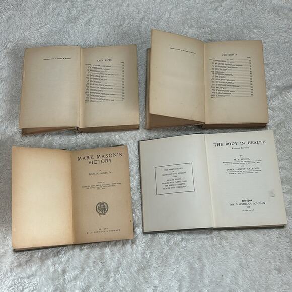 Vintage early 1900s book lot of 4 Mark Mason Alger Grace Harlowe Flower HC ACCPT - Picture 3 of 11